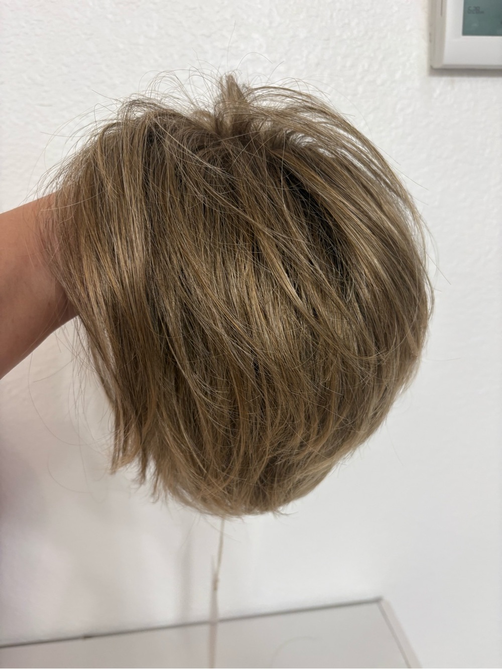 Tony of Beverly “Logan” wig. Never wore